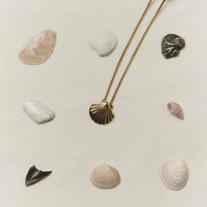 Підвіс Shell gold